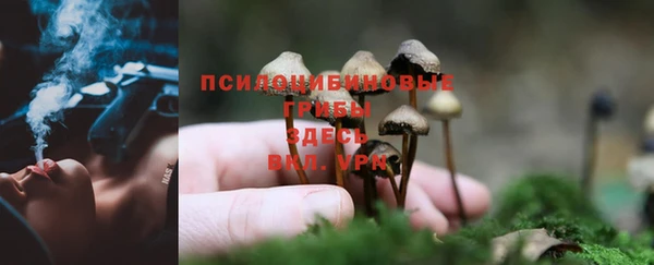 герыч Куйбышев